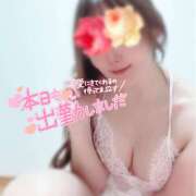 ヒメ日記 2026/04/17 11:55 投稿 なな わたしのっ部屋に