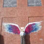 ヒメ日記 2026/04/25 08:05 投稿 なな わたしのっ部屋に