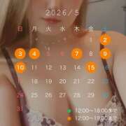 ヒメ日記 2026/04/29 20:05 投稿 なな わたしのっ部屋に