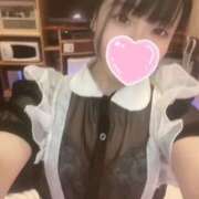 ヒメ日記 2025/07/12 17:16 投稿 かみら/モデル系美女！ 10代、20代専門ハレンチ倶楽部　姫路店