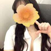 ヒメ日記 2025/07/30 16:55 投稿 藤本　まこ 癒し娘診療所 水戸・ひたちなか店