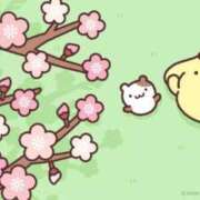 ヒメ日記 2026/04/27 11:33 投稿 藤本　まこ 癒し娘診療所 水戸・ひたちなか店