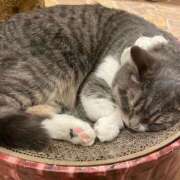 ヒメ日記 2025/07/14 13:38 投稿 そら あとりえ(ATELIER)