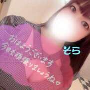 ヒメ日記 2025/11/12 11:07 投稿 そら あとりえ(ATELIER)