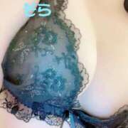 ヒメ日記 2025/11/16 08:28 投稿 そら あとりえ(ATELIER)