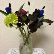 ひなこ 生けてみた💐 新宿クリスタル