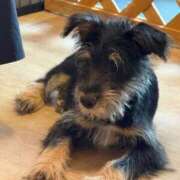 ヒメ日記 2025/07/13 21:31 投稿 九条のあ ABC 岩手ソープ