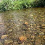 ヒメ日記 2025/08/03 22:16 投稿 九条のあ ABC 岩手ソープ