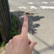 ヒメ日記 2025/08/04 14:31 投稿 九条のあ ABC 岩手ソープ