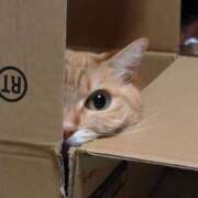 ヒメ日記 2025/09/04 19:16 投稿 九条のあ ABC 岩手ソープ