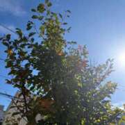 ヒメ日記 2025/10/10 18:16 投稿 九条のあ ABC 岩手ソープ