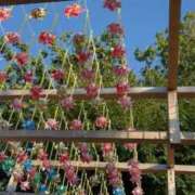 ヒメ日記 2025/11/18 09:01 投稿 九条のあ ABC 岩手ソープ