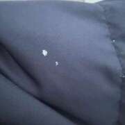 ヒメ日記 2025/11/18 21:31 投稿 九条のあ ABC 岩手ソープ