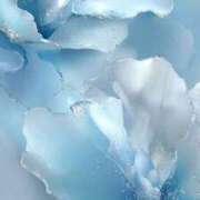 ヒメ日記 2025/11/20 14:46 投稿 九条のあ ABC 岩手ソープ