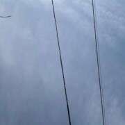 ヒメ日記 2026/03/17 09:46 投稿 九条のあ ABC 岩手ソープ