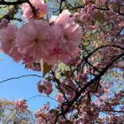 ヒメ日記 2026/04/27 05:16 投稿 九条のあ ABC 岩手ソープ