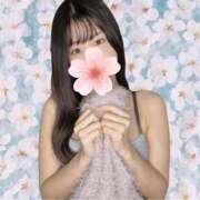 ヒメ日記 2026/04/01 11:19 投稿 みるな 京都デリヘル倶楽部