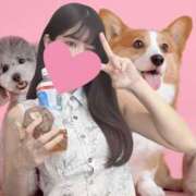 ヒメ日記 2025/08/07 21:31 投稿 みるな 京都ホテヘル倶楽部