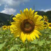 みるな 夏休みしてきた👙🌻 京都ホテヘル倶楽部