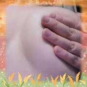 ヒメ日記 2025/11/19 11:00 投稿 福原こずえ ウフフな40。ムフフな50。。（横浜ハレ系）