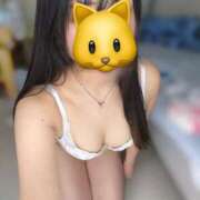 せりか なにしてるの💭 キューティーハニー