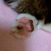 ヒメ日記 2026/02/23 16:16 投稿 りょう 熟女総本店 日本橋ミナミエリア店