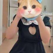 ヒメ日記 2025/08/21 16:47 投稿 こはく いざ候 本館