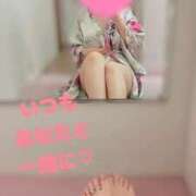 ヒメ日記 2026/01/31 14:07 投稿 こはく いざ候 本館