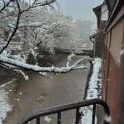 ヒメ日記 2026/02/08 13:24 投稿 こはく いざ候 本館