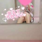 ヒメ日記 2026/02/27 23:47 投稿 こはく いざ候 本館