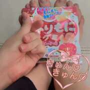 ヒメ日記 2026/02/28 23:49 投稿 こはく いざ候 本館