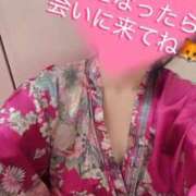 ヒメ日記 2026/03/06 15:27 投稿 こはく いざ候 本館