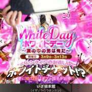 ヒメ日記 2026/03/10 13:07 投稿 こはく いざ候 本館