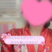 ヒメ日記 2026/04/03 15:17 投稿 こはく いざ候 本館