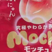 ヒメ日記 2026/04/19 21:23 投稿 こはく いざ候 本館