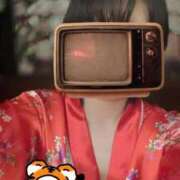 ヒメ日記 2026/04/22 00:03 投稿 こはく いざ候 本館