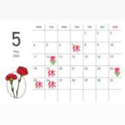 ヒメ日記 2026/04/27 17:47 投稿 こはく いざ候 本館