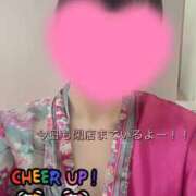 ヒメ日記 2026/04/29 13:14 投稿 こはく いざ候 本館