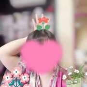 ヒメ日記 2026/04/29 15:09 投稿 こはく いざ候 本館