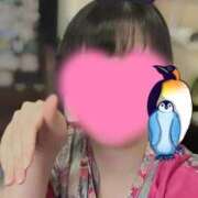 ヒメ日記 2026/04/29 19:22 投稿 こはく いざ候 本館