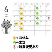ヒメ日記 2026/05/28 19:07 投稿 こはく いざ候 本館