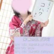 ヒメ日記 2026/08/16 20:37 投稿 こはく Club label