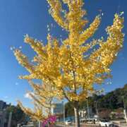 ヒメ日記 2025/11/19 10:18 投稿 さちこ Mother Complex～マザーコンプレックス～