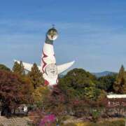 ヒメ日記 2025/11/23 20:50 投稿 さちこ Mother Complex～マザーコンプレックス～