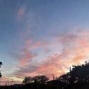 ヒメ日記 2025/11/11 10:38 投稿 あるの 素人しか勝たん！柏店（超恋人型空間デリヘル）