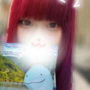 ヒメ日記 2025/11/22 14:35 投稿 あんり ハンドキャンパス池袋