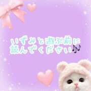 ヒメ日記 2025/07/09 19:14 投稿 宇野いずみ ブルーバード