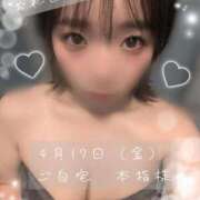 ヒメ日記 2026/04/18 08:25 投稿 ひじり【業界未経験】 茨城水戸ちゃんこ