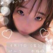 ヒメ日記 2026/04/18 08:55 投稿 ひじり【業界未経験】 茨城水戸ちゃんこ