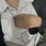 ヒメ日記 2025/08/12 09:16 投稿 さくらこ 2980円